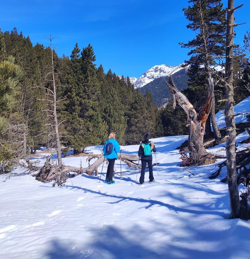 Excursion con Raquetas